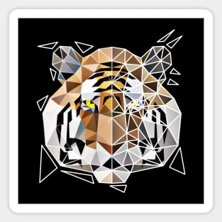 Geometric tiger Magnet
